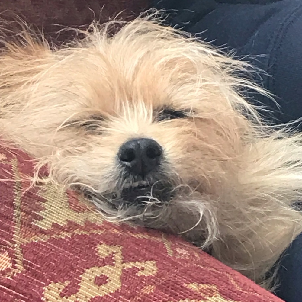 Meet your Posher, Teri